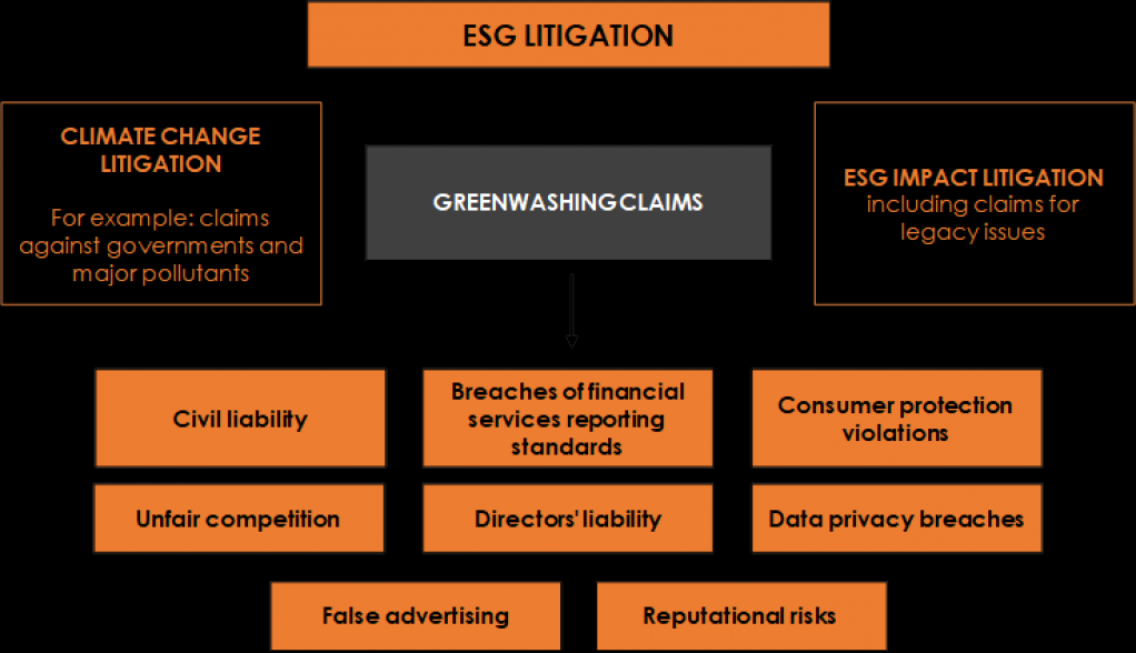 The Green, The Bad and The Ugly: The Risks of Greenwashing