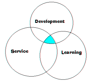 Programme components